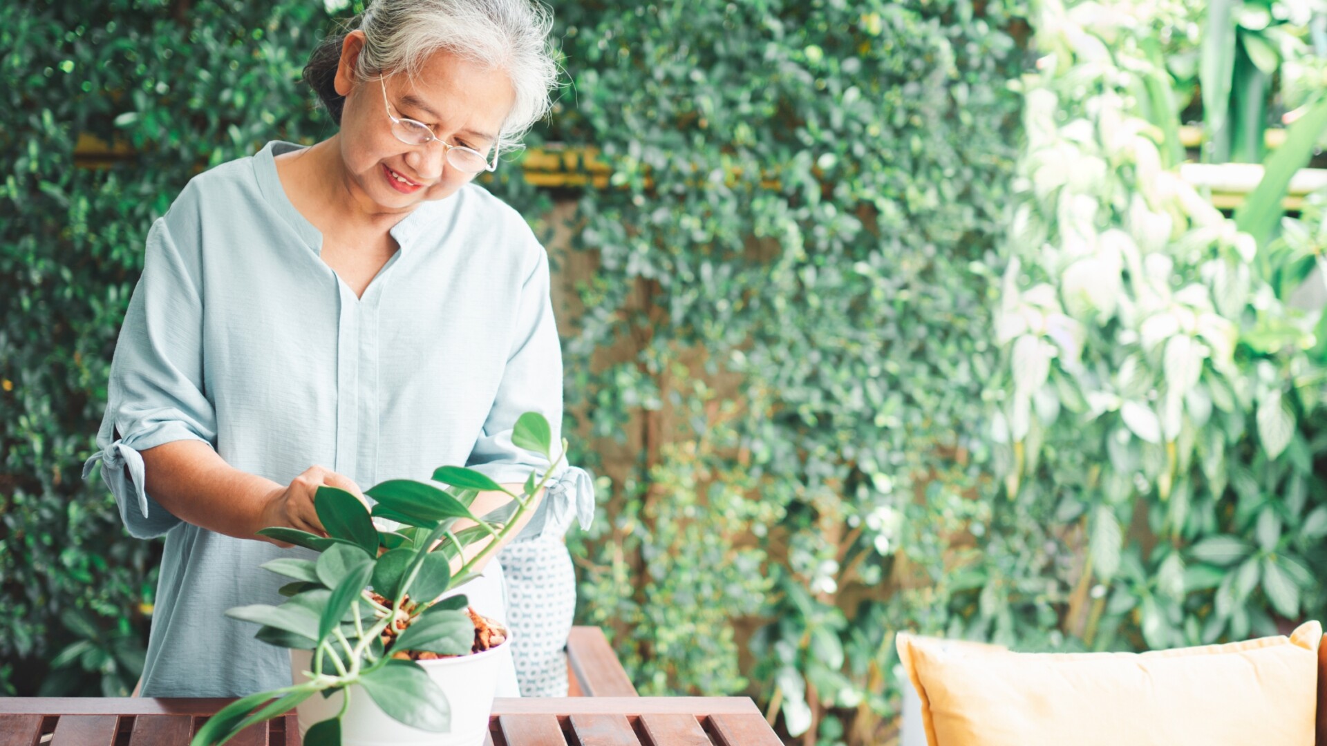 planted marie burns