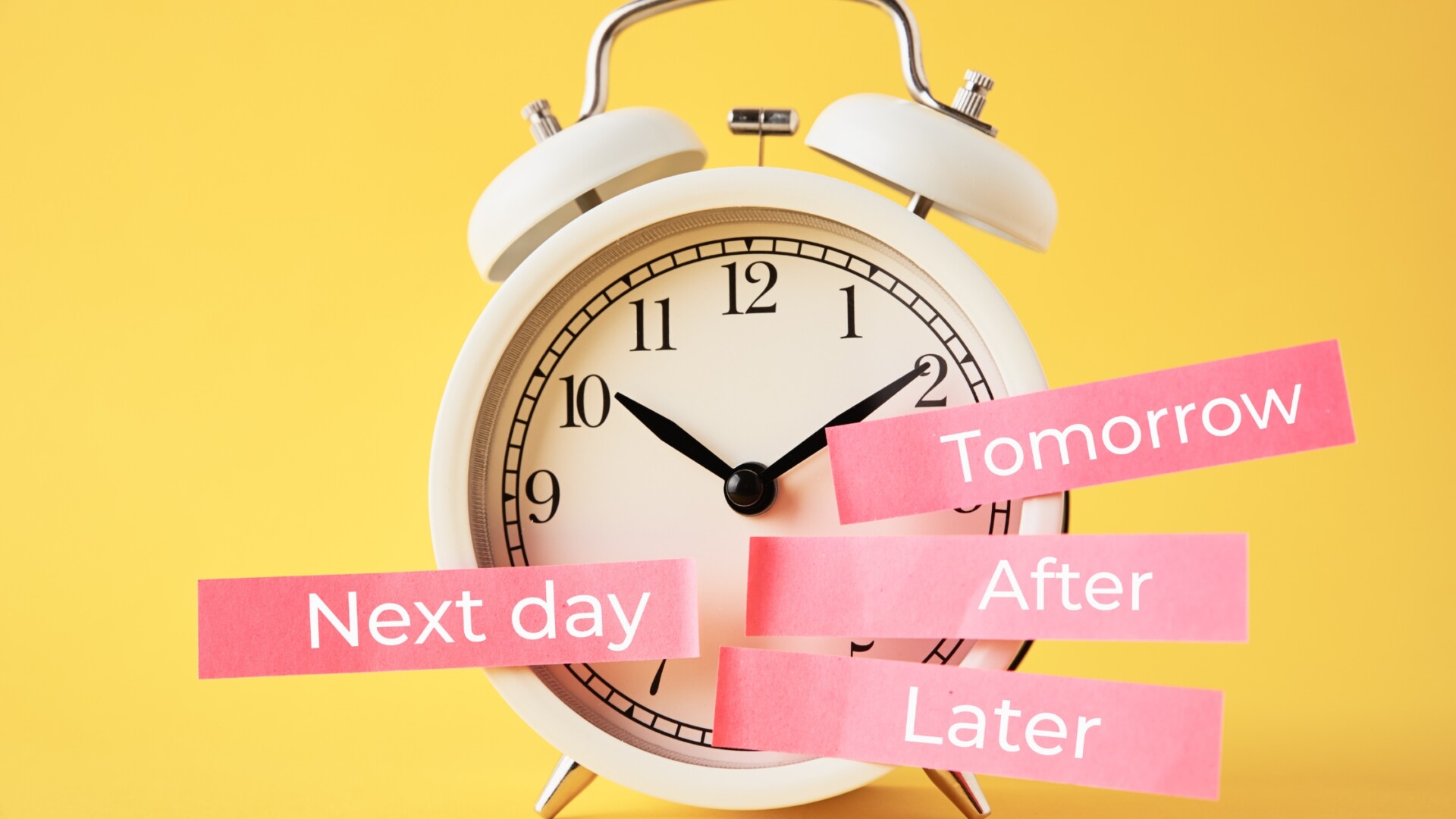 Financial Procrastination Marie Burns Mind Money Motion
