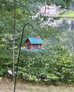 bird feeder