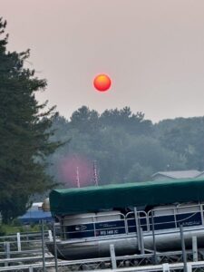 red sun summer travels green nature
